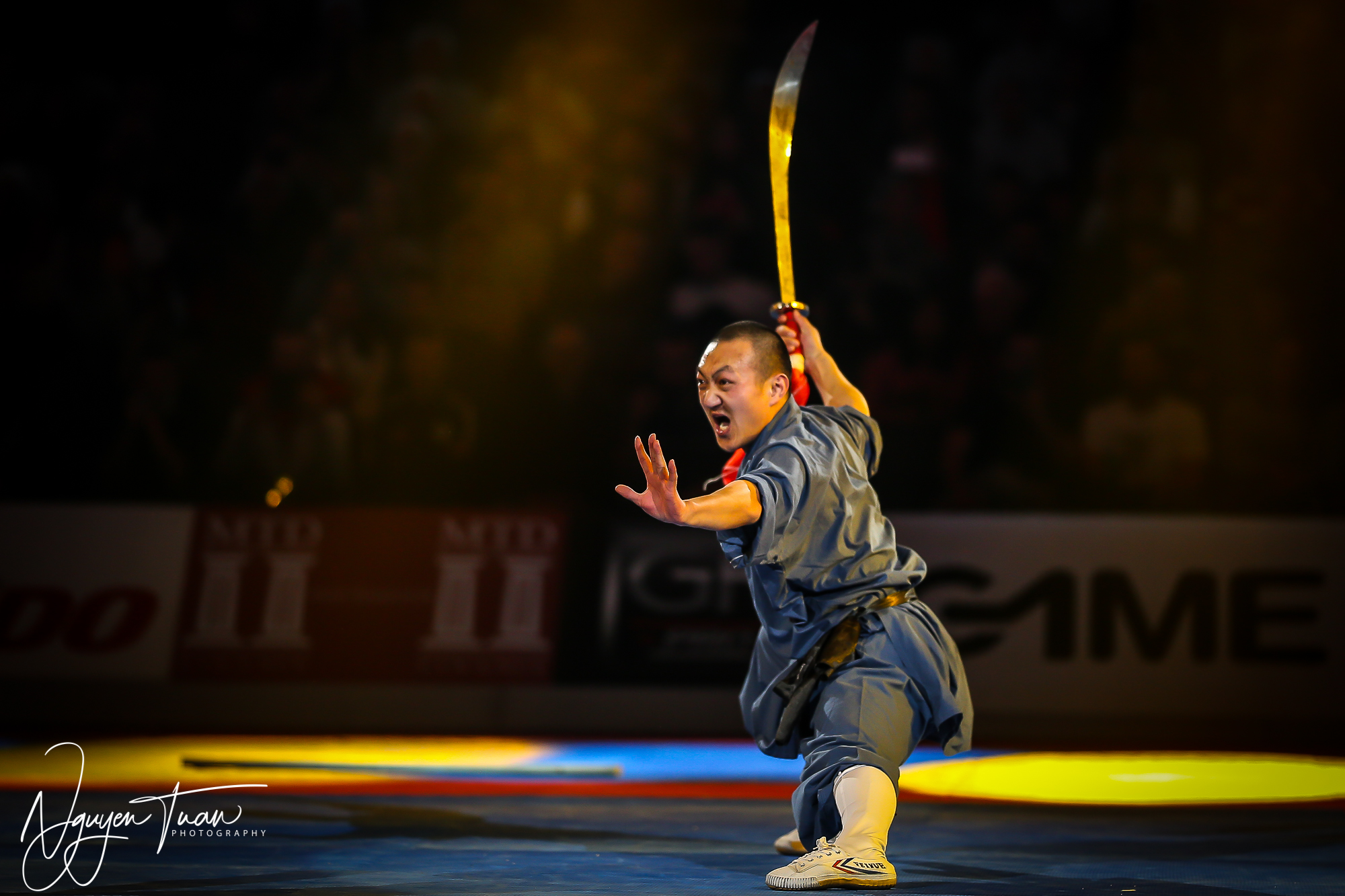 20190324 Festival des Arts Martiaux 5532